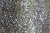 Reawick fibreglass roof work